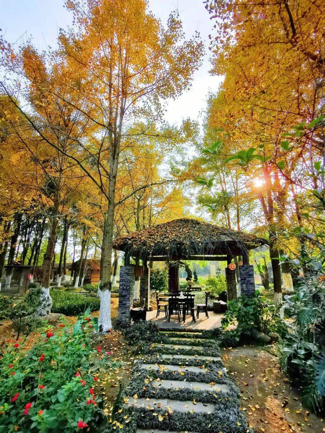 "三八"妇女节丨万花拾景园邀您共赴春日之约!