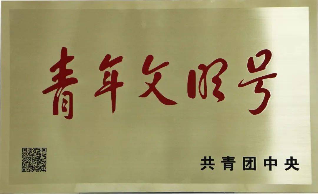 持续擦亮市容考评"绣花功夫"的"青"字号招牌,引领青年文明号集体在