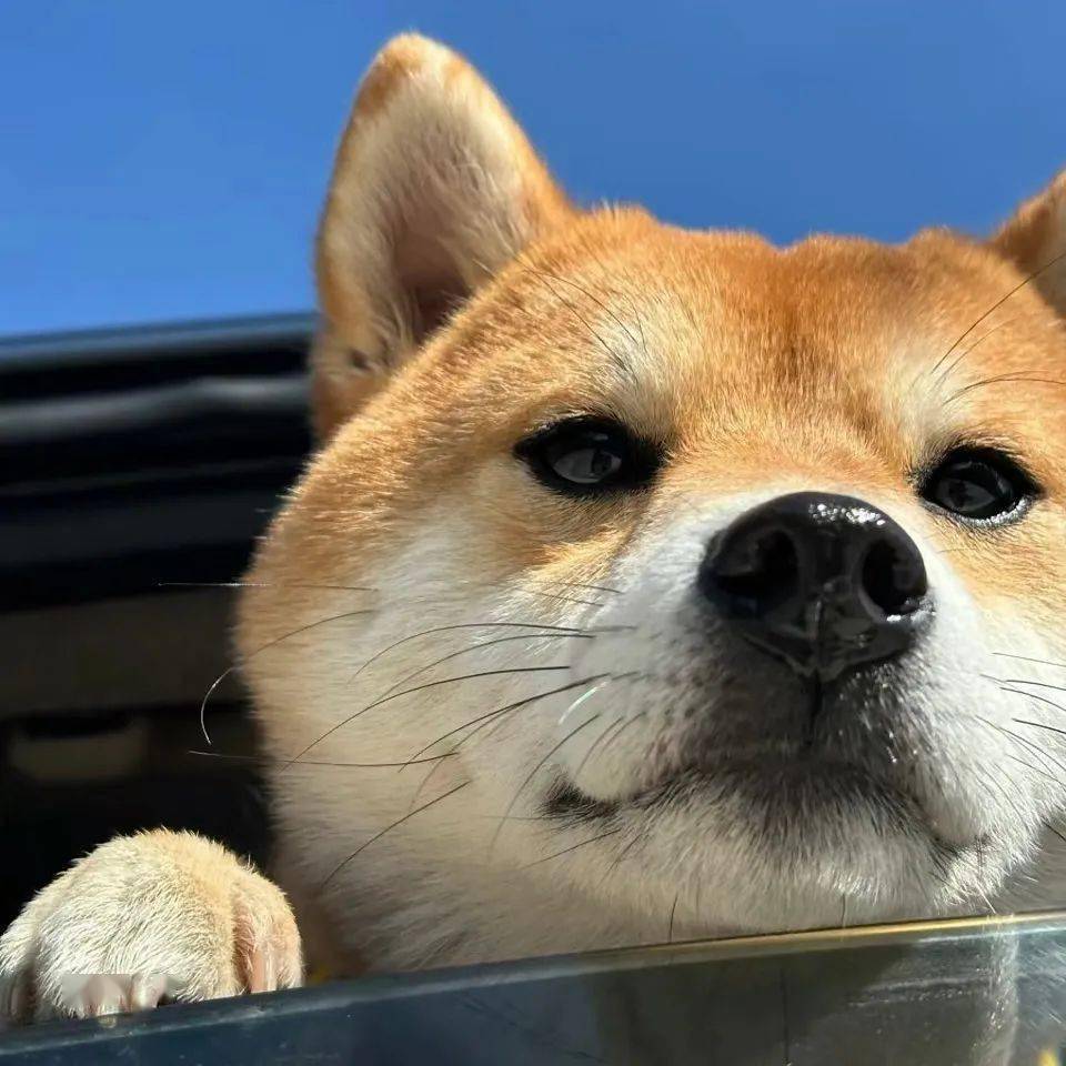 头像很有感觉的氛围感头像676767