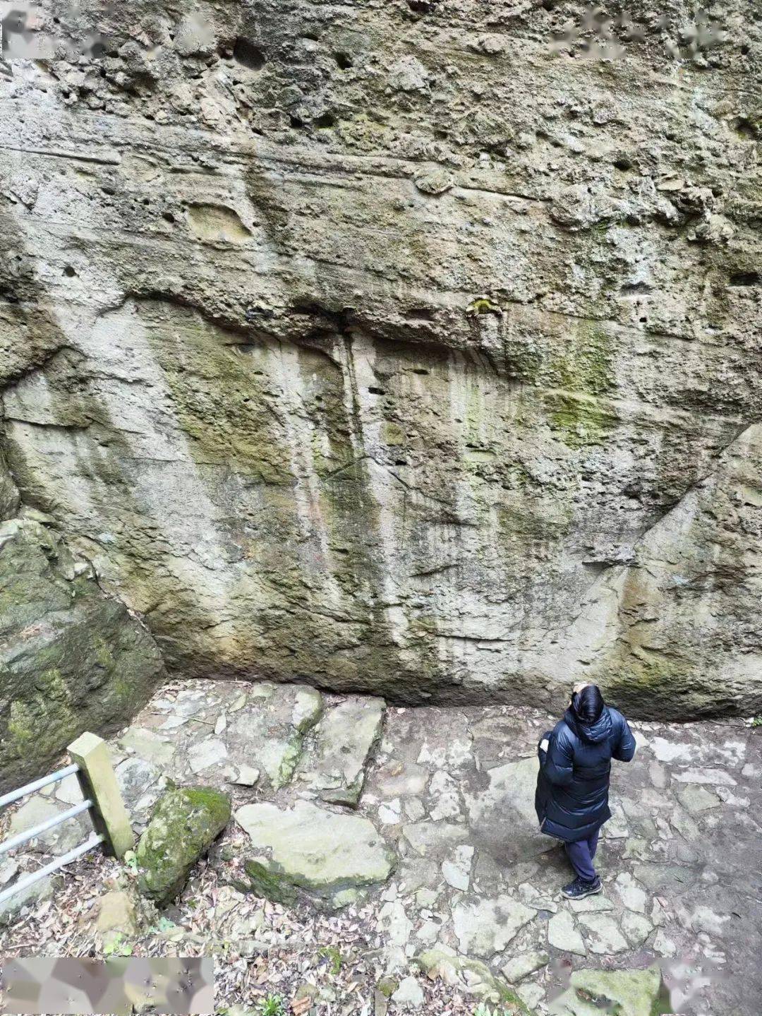 这样的活动应该全市推广……_蓬山_山顶_登山