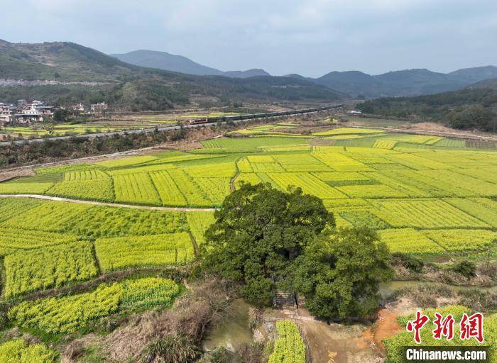 湖南永州市江华瑶族自治县沱江镇下蒋村,人们在古亭边踏青赏景.