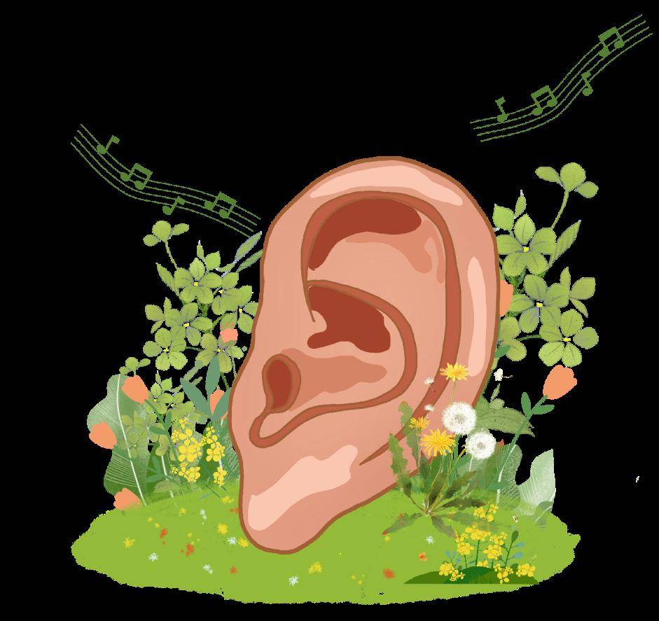 小耳朵 大世界_保护_ear_声音