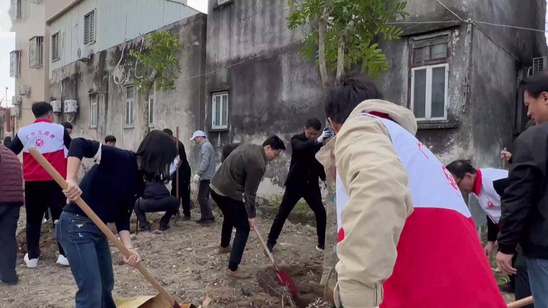 绿美家园 | 各镇街道动员各方力量 推进"绿美家园"