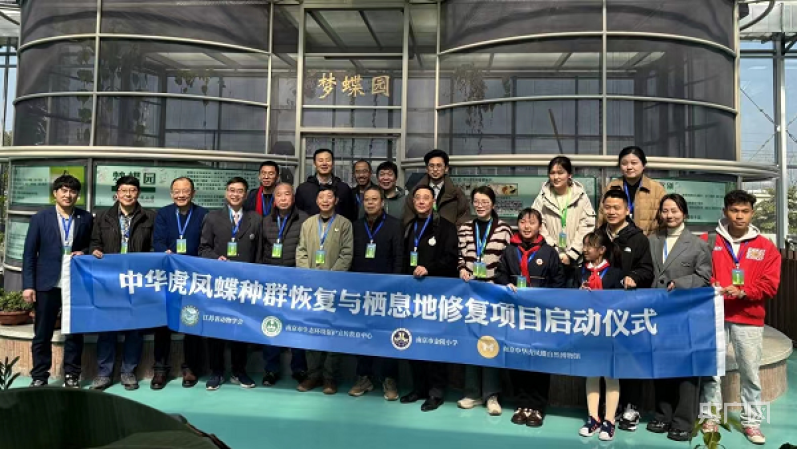 小种子种下生物多样性保护的大梦想_张松奎_蝴蝶_华虎