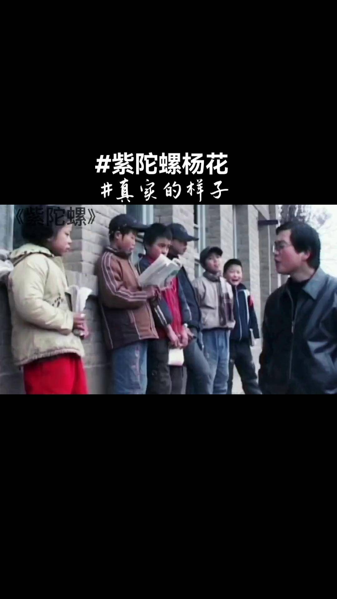 紫陀螺紫陀螺杨花童年回忆