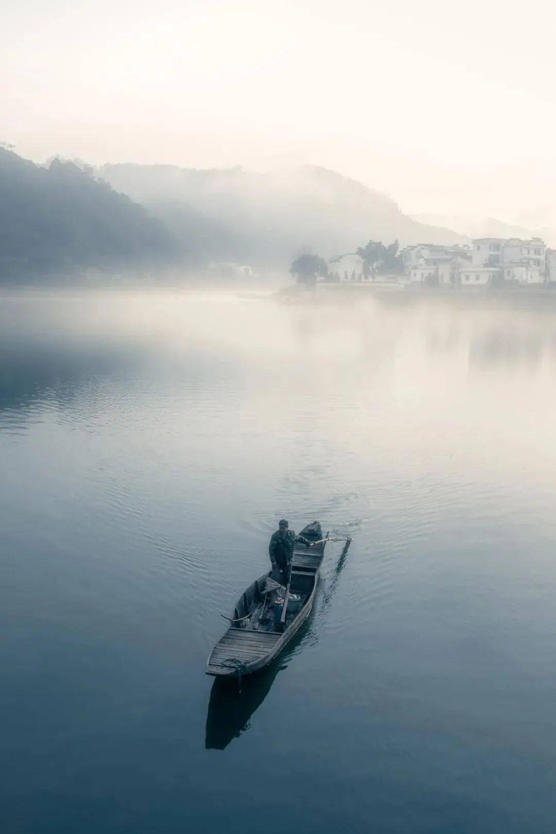 全中国的花都在等你这份春季限定的出行指南必须人手一份