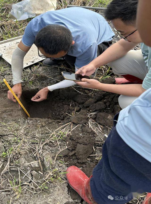 仲恺农业工程学院团队在电白做表面样点的调查采样.