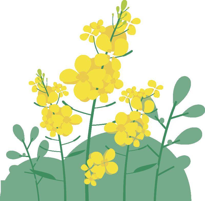 润心赋能 呵护成长 | 做时间的小主人