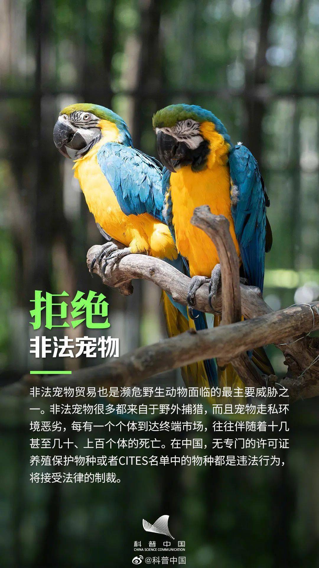 生物多样性