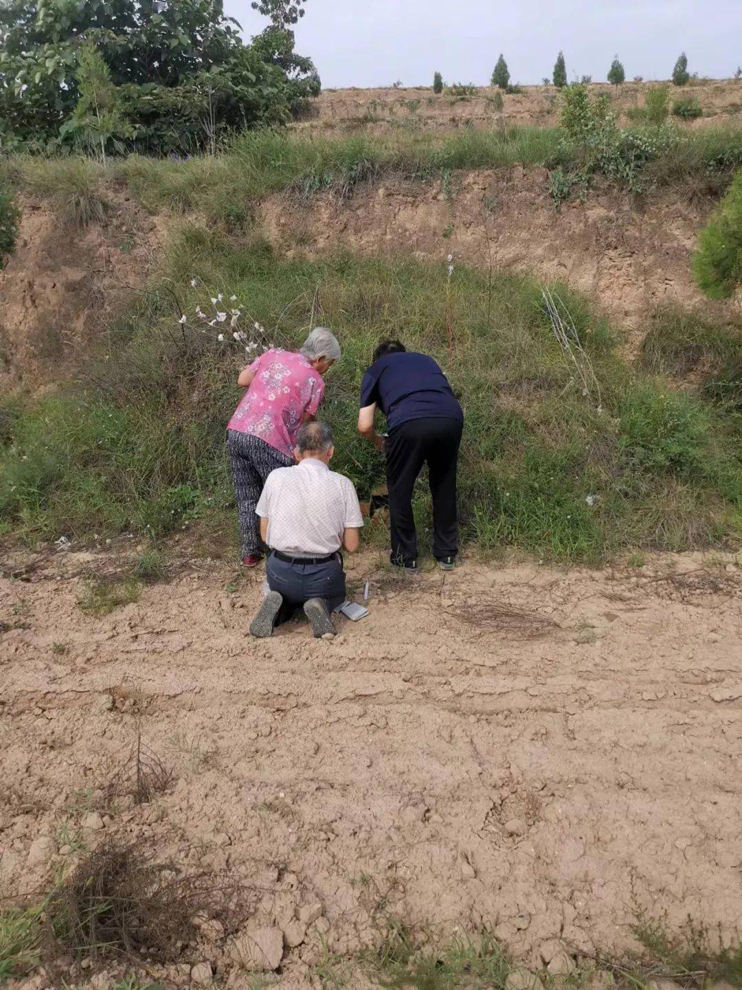 土坟上长满了迎春花的枝藤和荒草,在常年干旱少雨的沟梁上倒显出了一