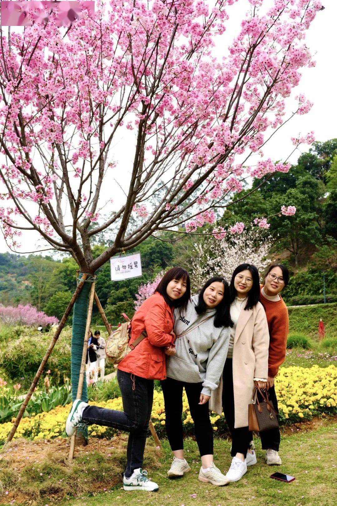 顺之旅女神们带你沉浸式打卡从化天人山水!