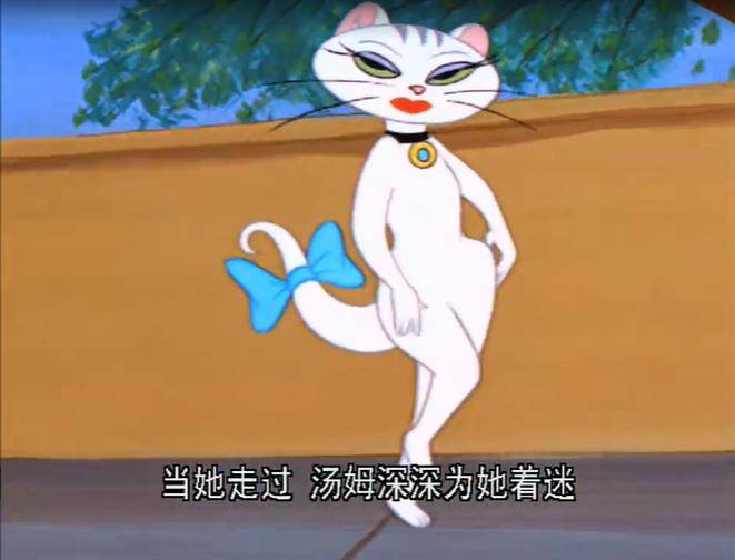 猫和老鼠经典老番专题我并不想被你抓住也不愿意成为你的猎物