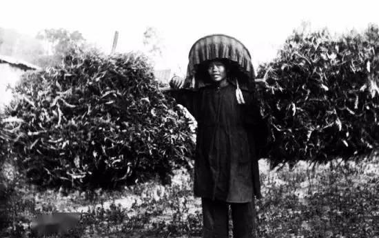 最美客家女人曝光,太美了~_女性_妇女_家庭