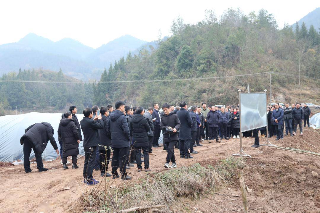 乡镇人大吐祥镇组织辖区内县镇人大代表开展集中视察活动