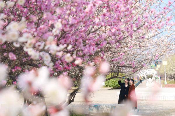 女性免门票同行男性半价河南多景区宣布
