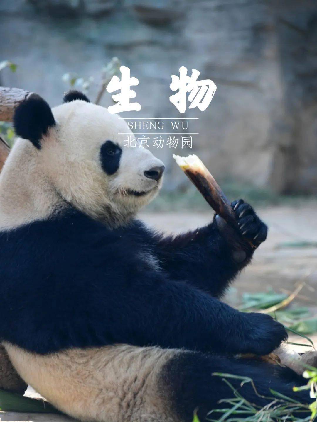 03 生物凤凰国际传媒中心:数学分支学科"拓扑学"研究几何图形连续改变