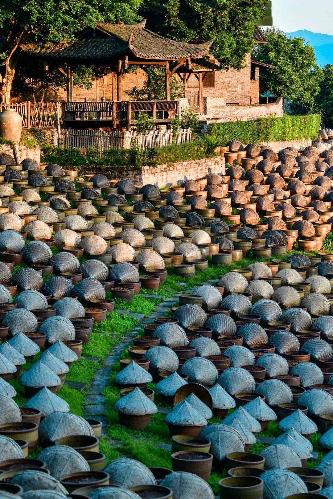 中国人(打)酱油地图_视觉_广东_味觉