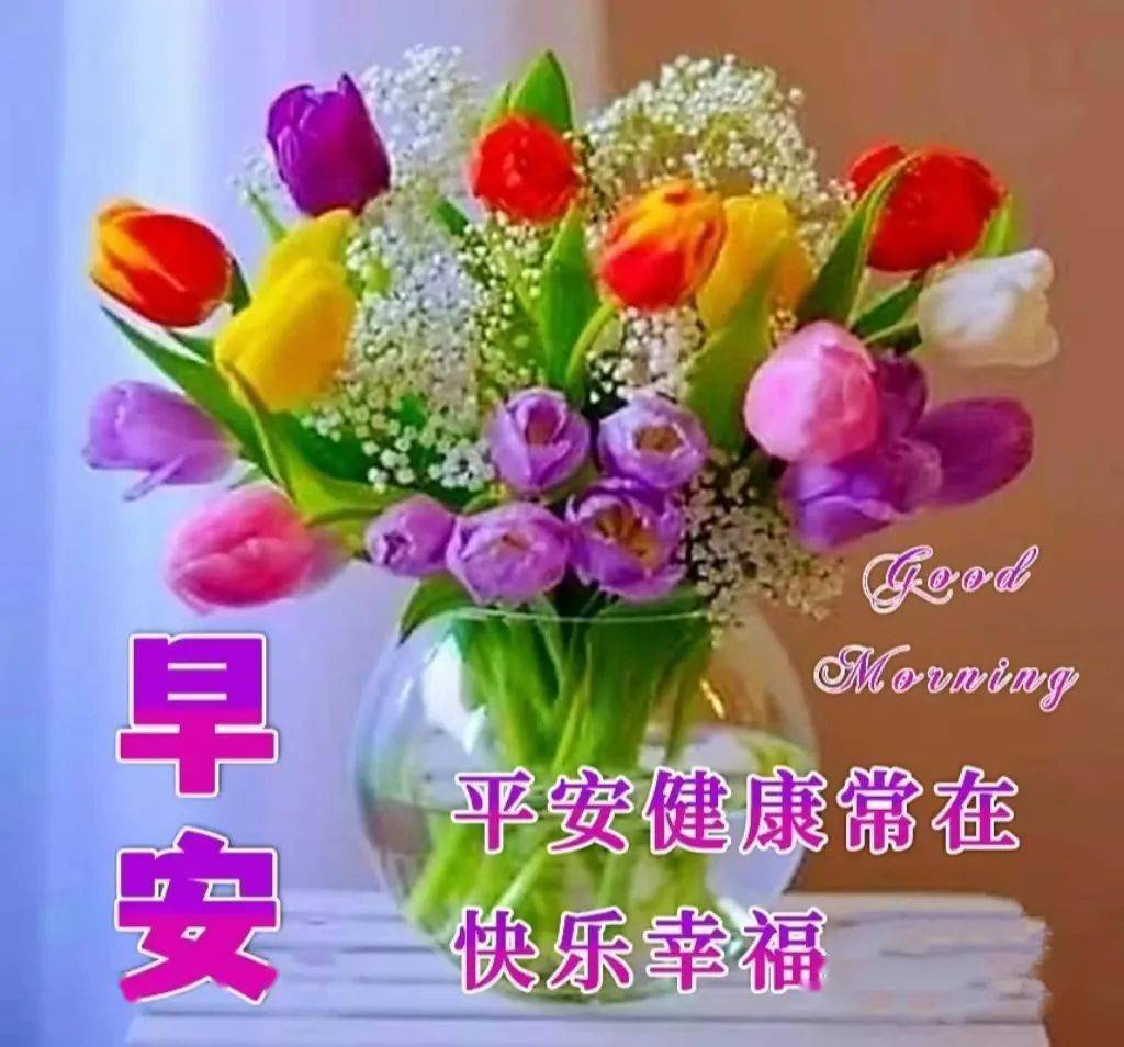 的早安祝福图片带字问候语录,群发暖心的问候祝福语大全_一生_开心