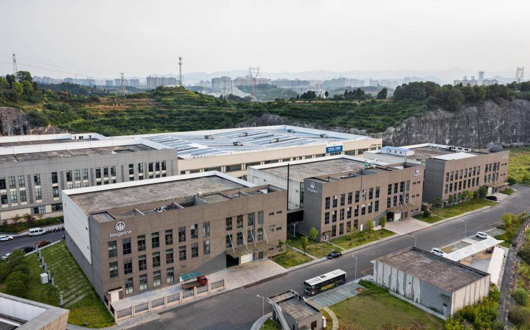 长期主义的最优解是什么麦吉丽用科研力回答