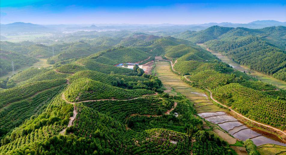 此次全国两会,湖北省神农架林区党委副书记,区长刘启俊代表建议,国家