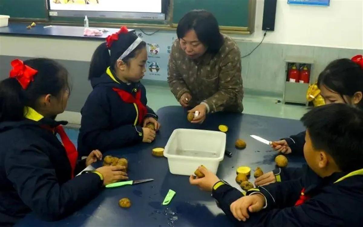 多米体育农业专家带领中小学生种蔬菜！武汉市这场自然劳动实践活动启动(图3)