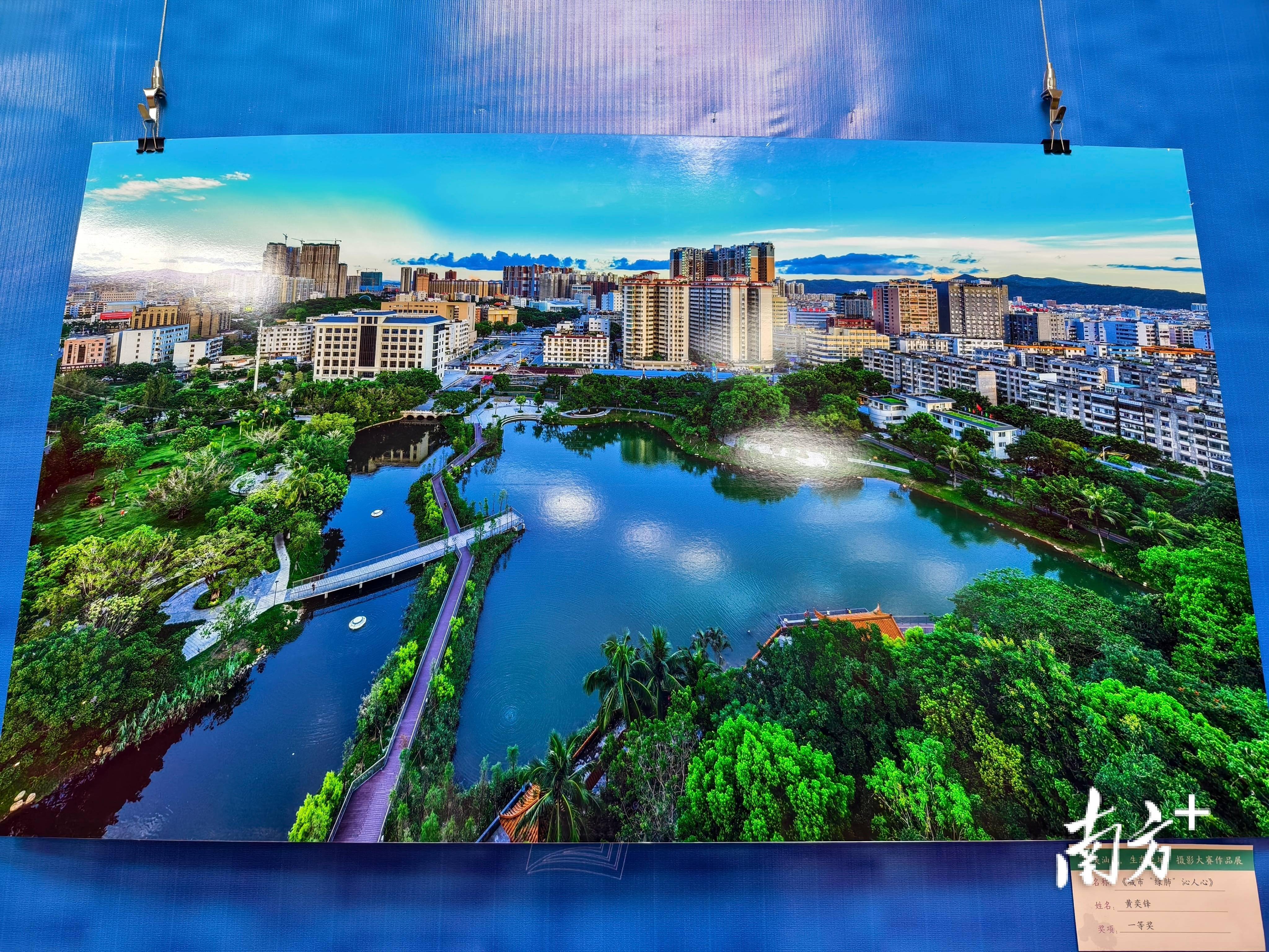 "绿美汕尾·生态之城"摄影大赛:用镜头聚焦绿美,讲好生态故事