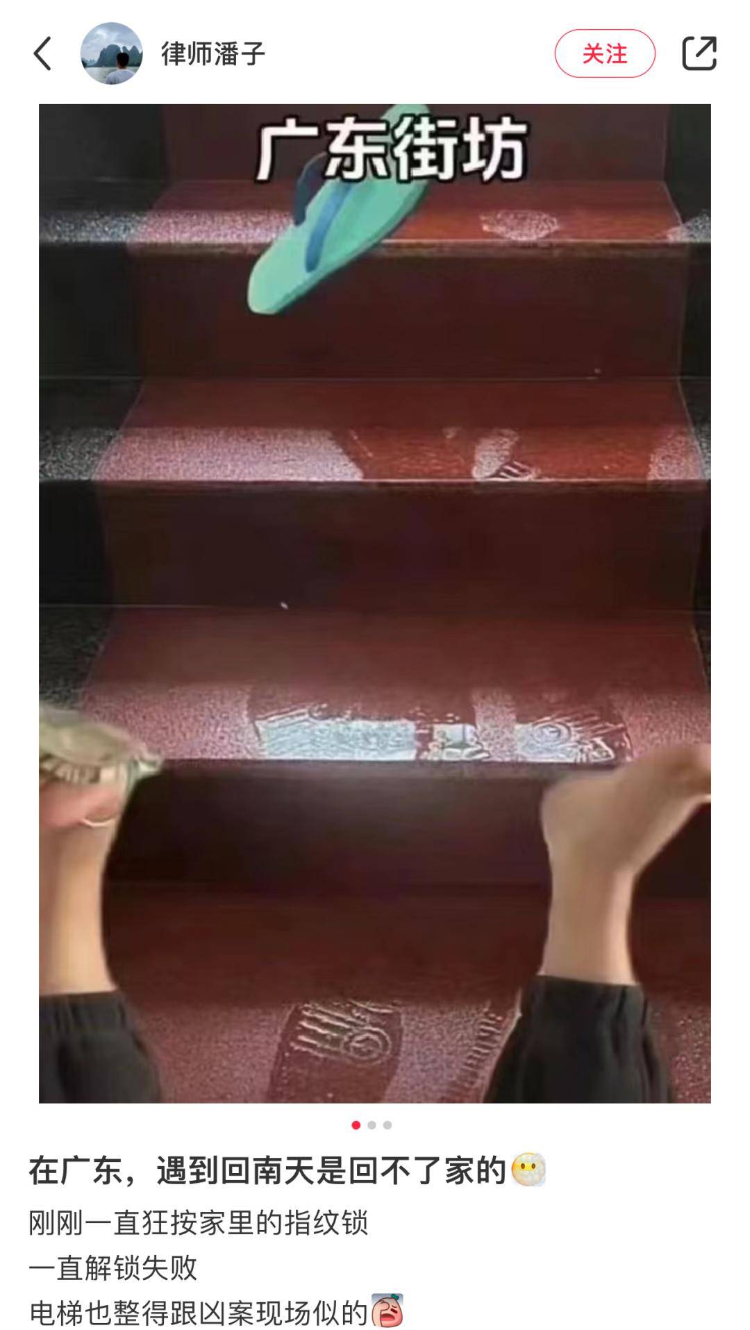 离谱程度刷新下限今年的回南天让南方人和猫都摔进骨科了