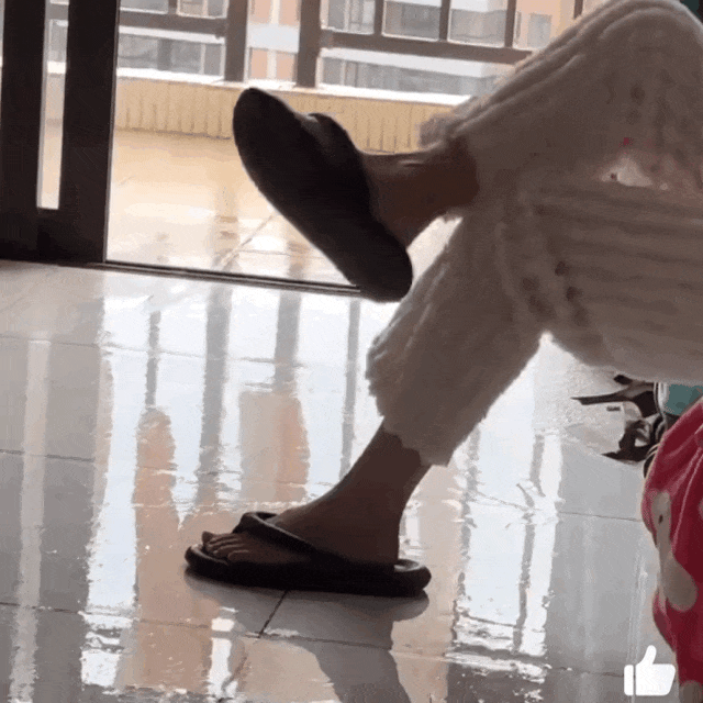 离谱程度刷新下限今年的回南天让南方人和猫都摔进骨科了