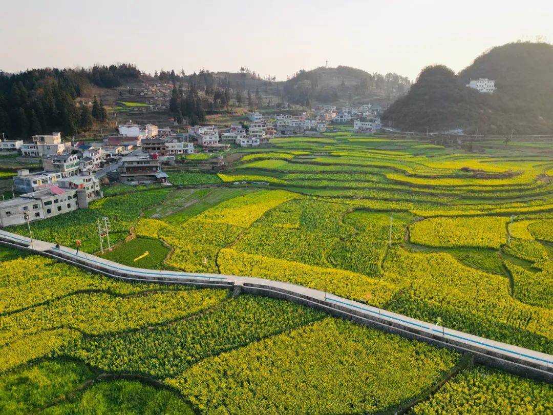 织金猫场镇全景图片