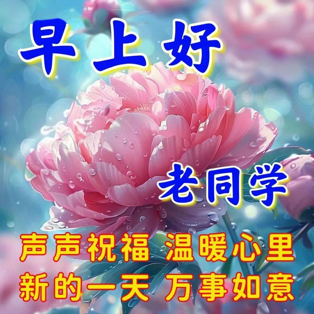 同学们早上好最新图片图片