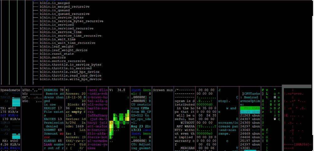 univerisity" | boxes -d dogfortune | boxes -d cat | lolcat16