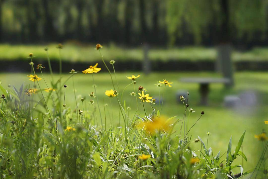 最新放假通知连休3天高速免费