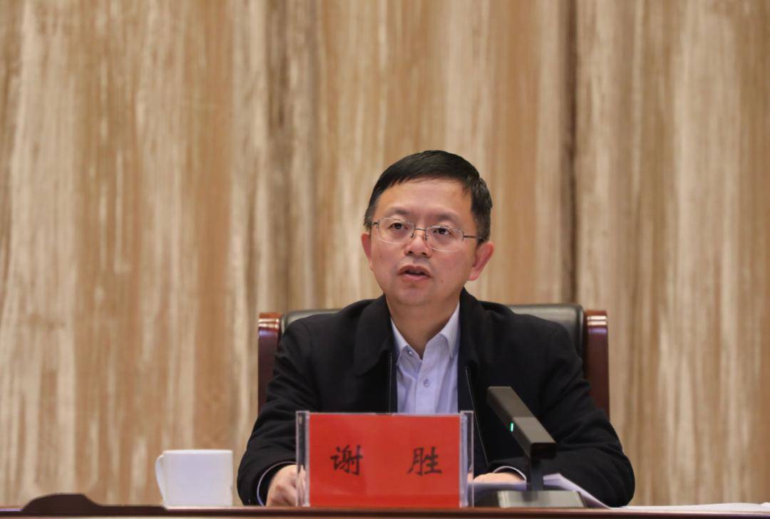 市委常委,常务副市长谢胜出席会议并讲话,市政府副秘书长,市政府办