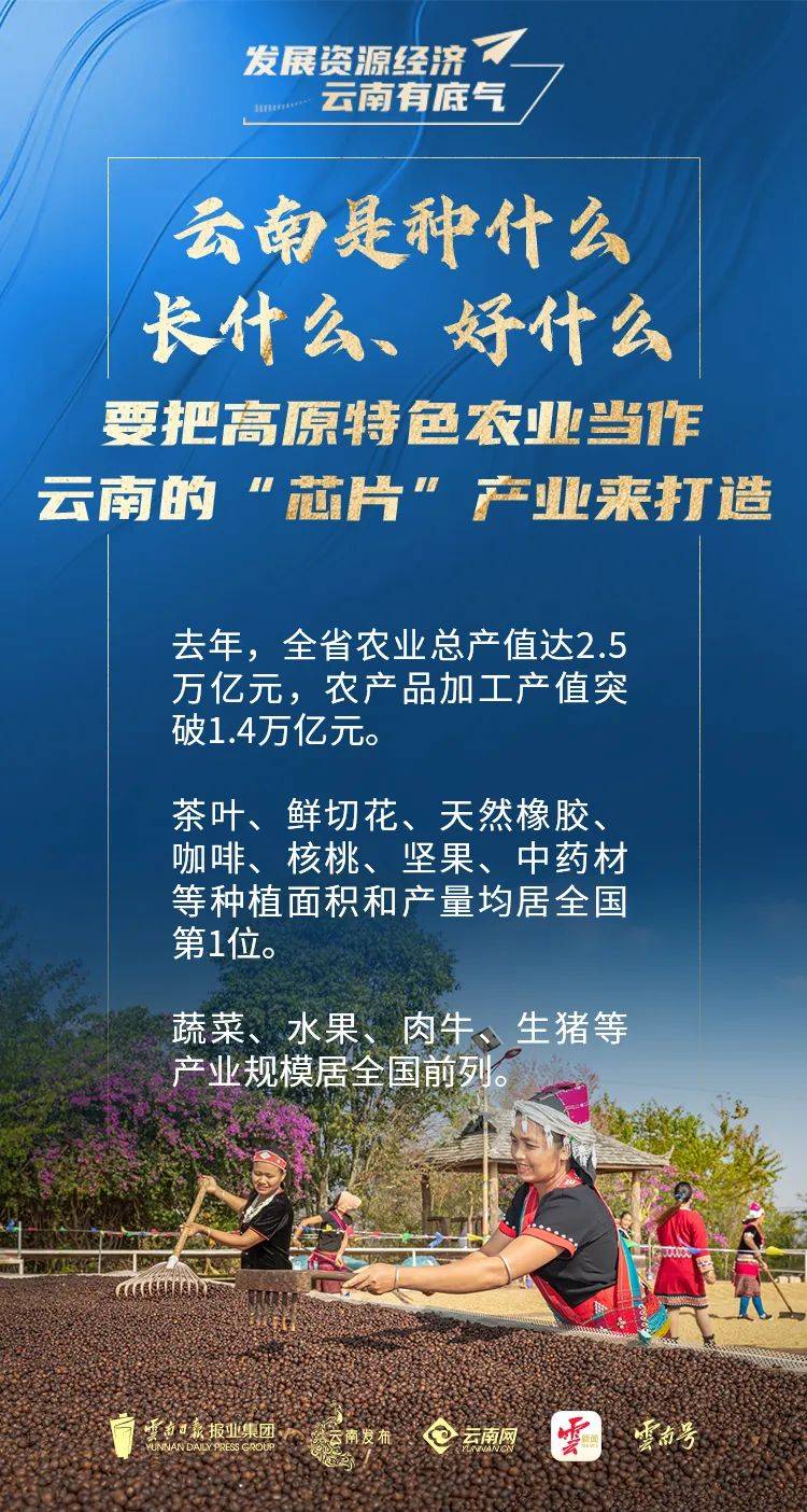 聚焦发展资源经济云南有底气