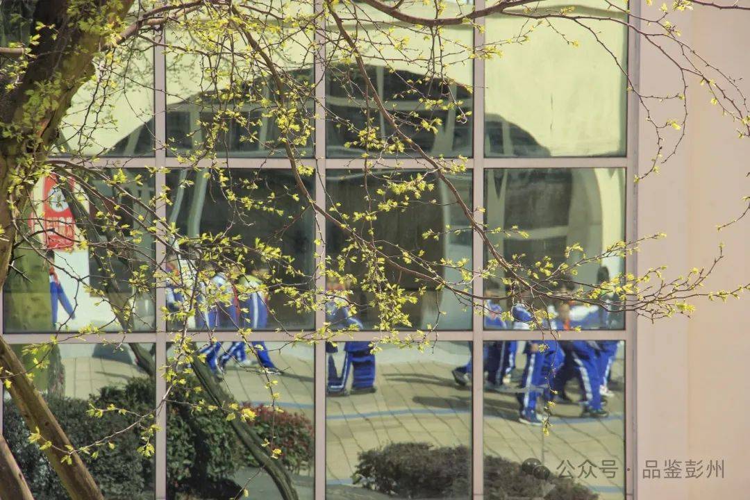 "一"起追梦的心"中"将成为漫漫前路最耀眼的指向标机关幼儿园peng