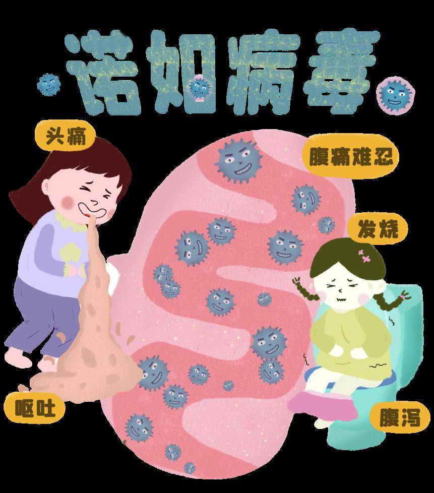 恶心呕吐还腹泻当心诺如病毒来袭如何防范