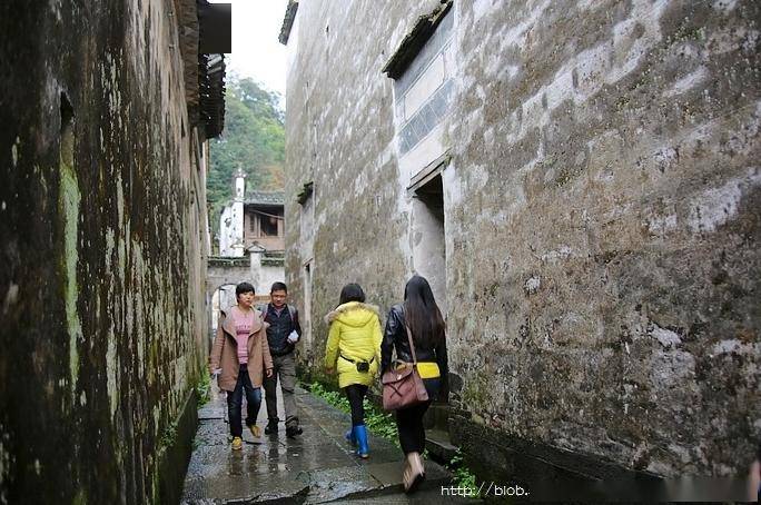 春游江南4思溪延村优雅的土豪金