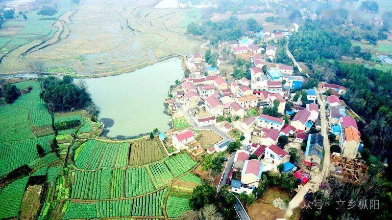 齐汉宇齐家老屋