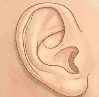 耳朵上出现这些特征是大病的征兆