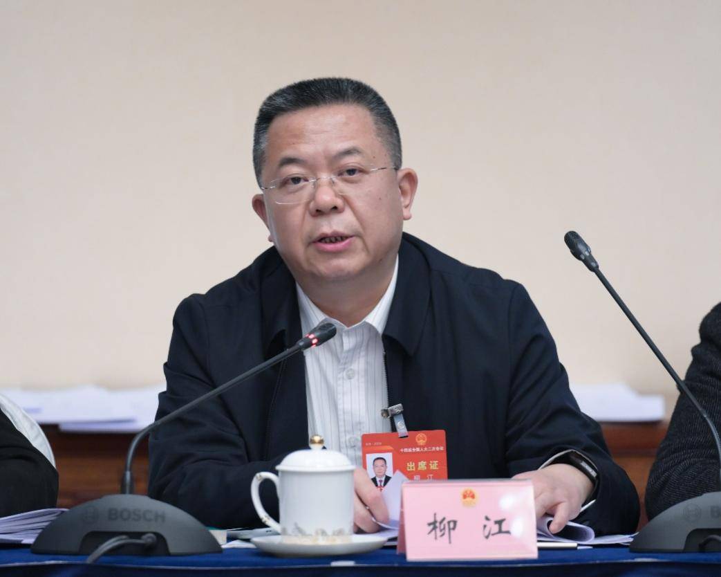 柳江代表:规范数据要素市场 推动工业互联网高质量发展_平台_数字_技