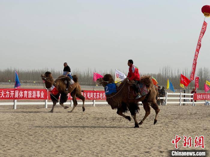 新疆阿克苏地区农牧民运动会开幕_新和_梁馨_项目