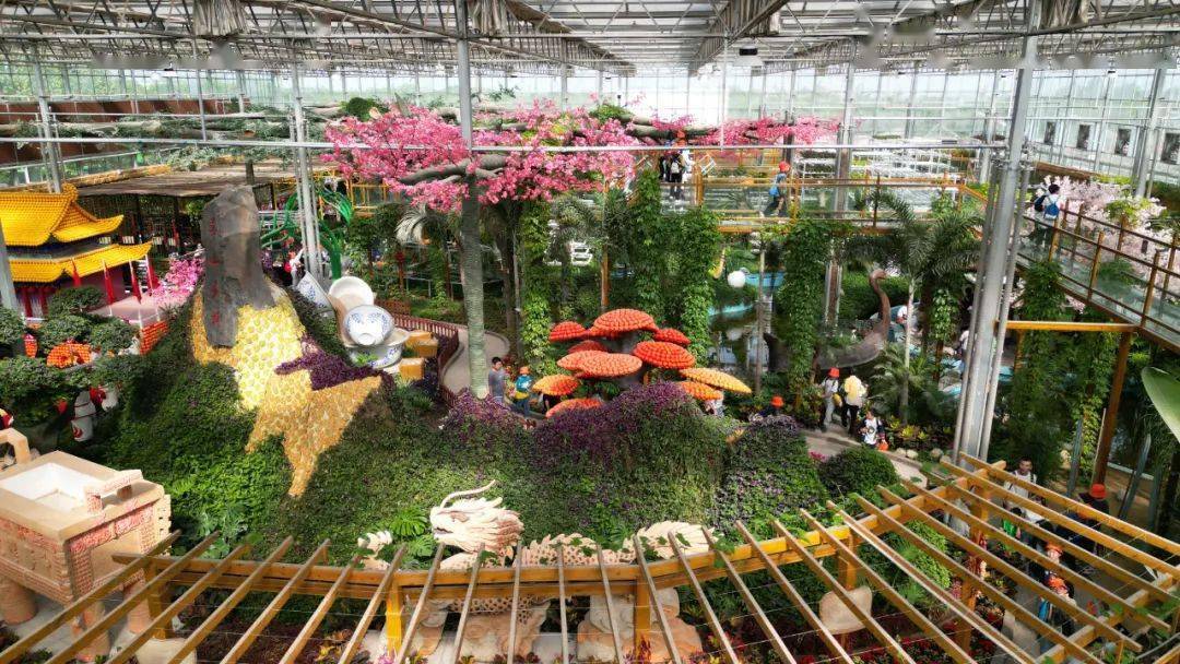 体验券 机械乐园碰碰车项体验券 百草园入园凭证报名半程马拉项目所有