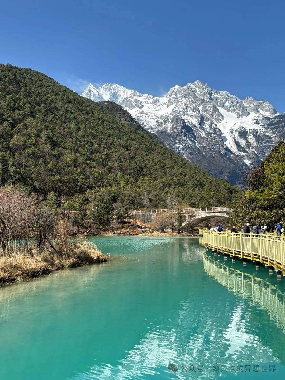 看完她们的分享想穿漂亮的衣服出去玩了