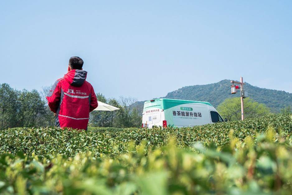 图:京东小哥在浙江茶园揽收春茶相较于其他季节的茶叶,特别是"明前茶"