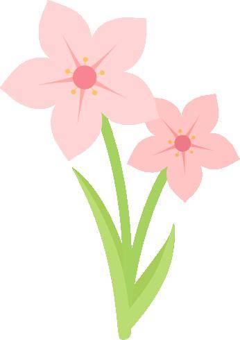 桐工学堂工惠寻春丨送你一朵迎春花