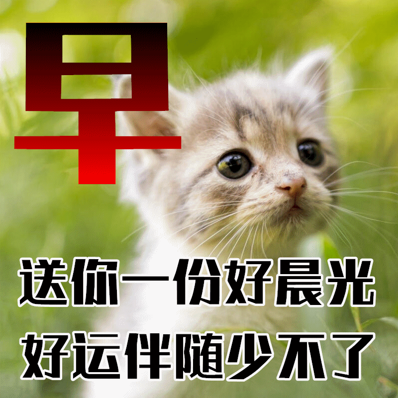 钞票向你流,友情爱情手牵手,夫妻恩爱到白头,祝你幸福快乐,开心相伴