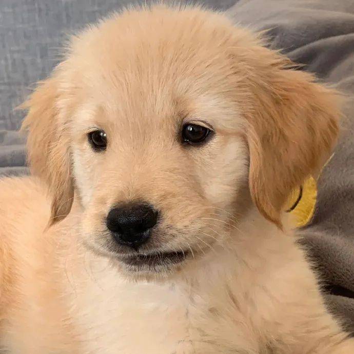 头像头像来啦宝贝们