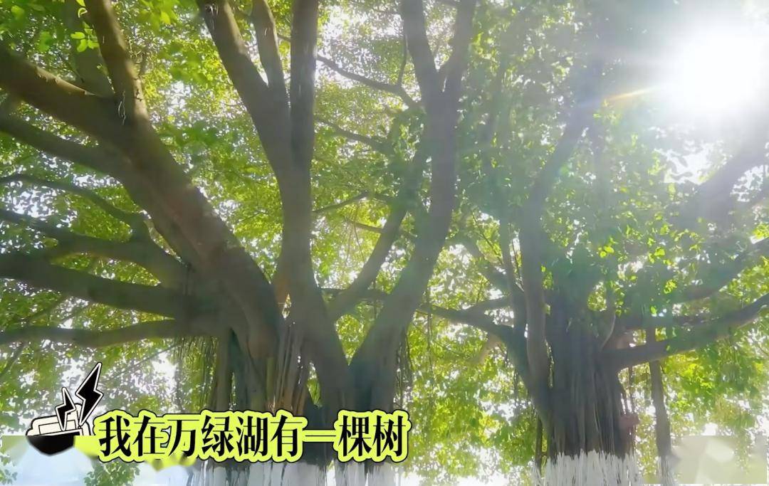 活动_河源_日报
