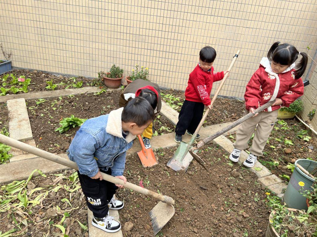 播种春天——雅正幼儿园中班级主题活动_种植_植物园_孩子