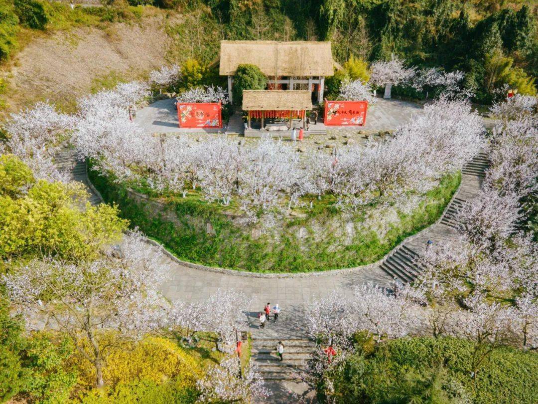 爽爽贵阳繁花似锦来孔学堂上春山踏遍春光不思还